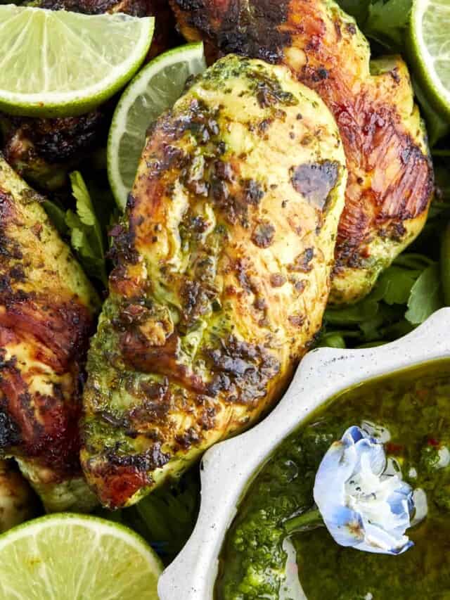 Cilantro Lime Chicken Food Dolls