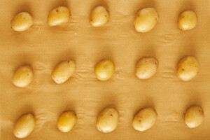 Boiled potatoes on a parchment paper-lined baking sheet.