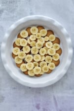 Magnolia Bakery Banana Pudding - Food Dolls