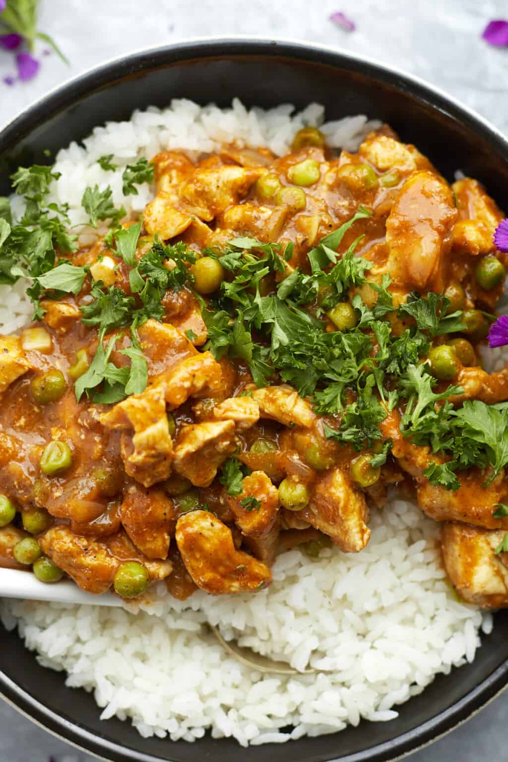 Madras Curry Chicken - Food Dolls