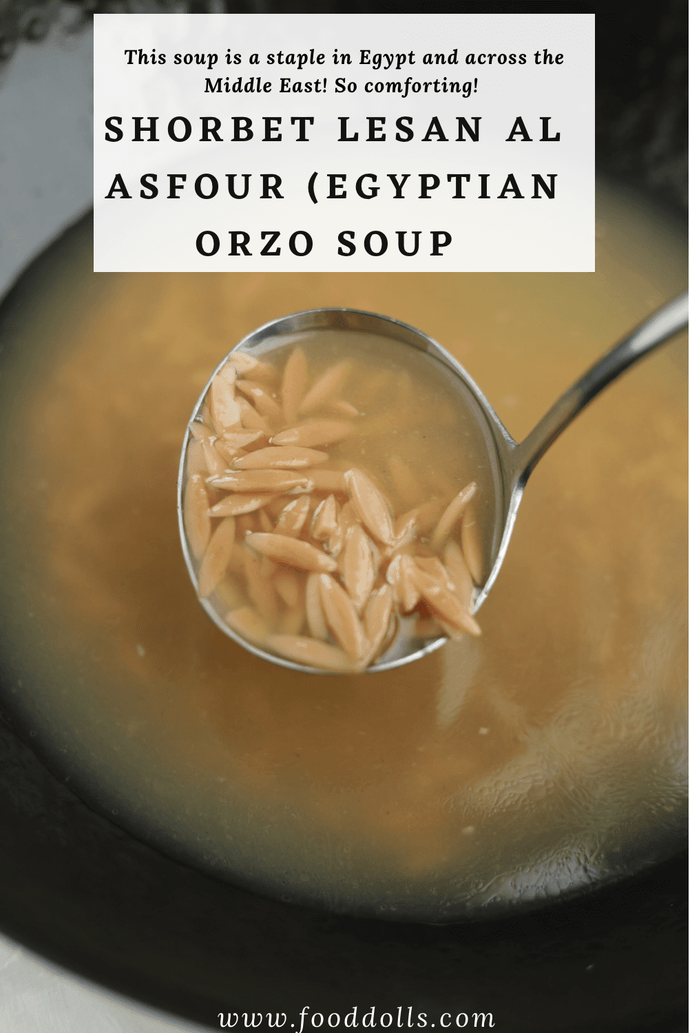 Middle Easter Orzo Soup