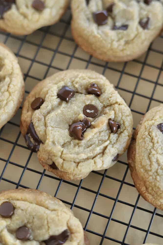 The Best Chewy Chocolate Chip Cookie Recipe Food Dolls