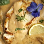 overhead image of creamy parmesan chicken in a skillet