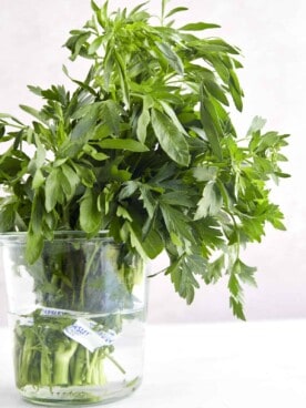 A jar of fresh parsley.