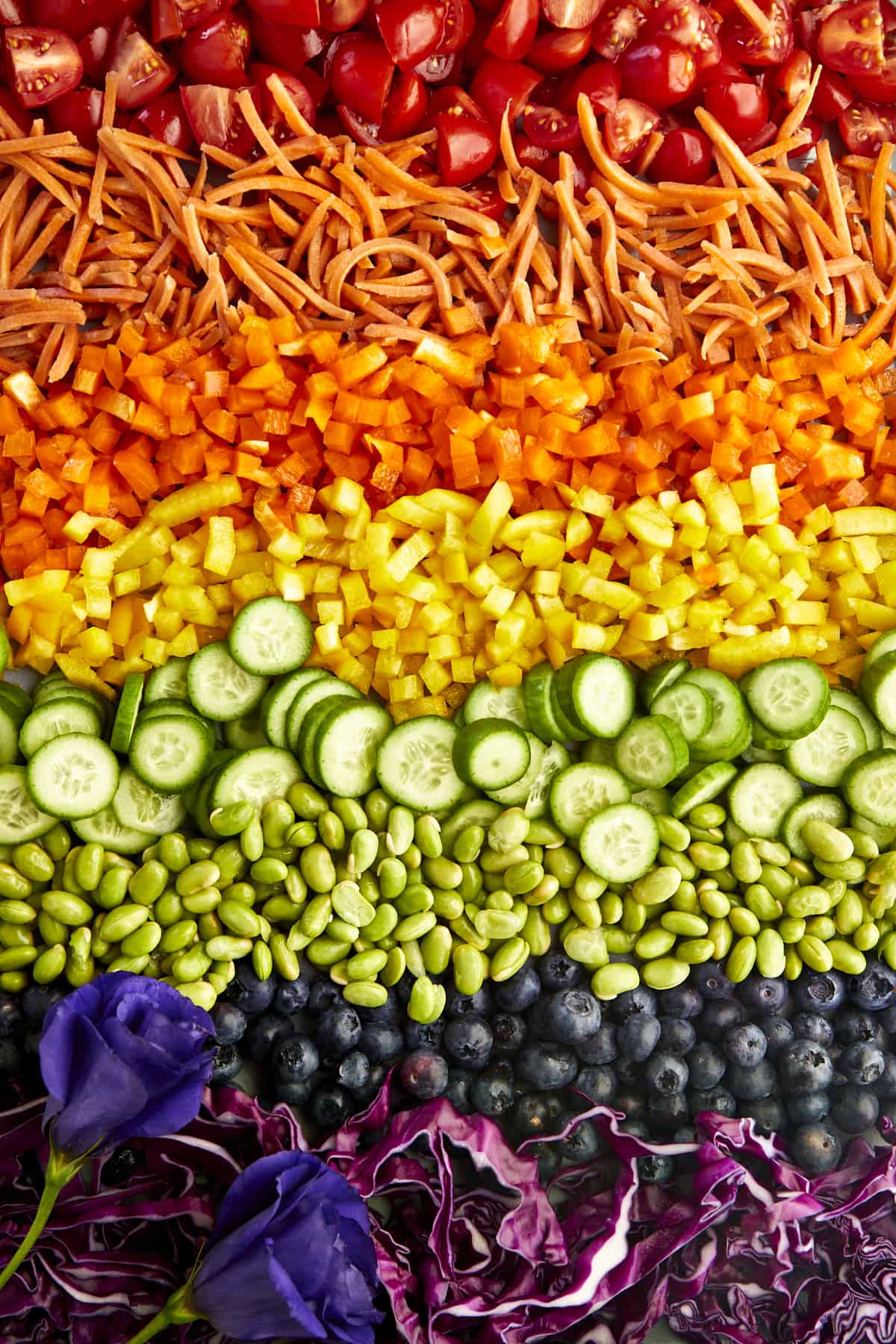 https://www.fooddolls.com/wp-content/uploads/2023/05/Rainbow-Salad-Jar17029.jpg