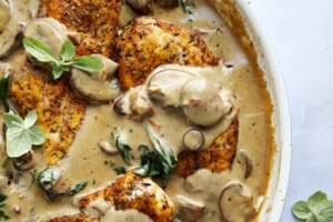 Creamy Mushroom Chicken Recipe - Food Dolls