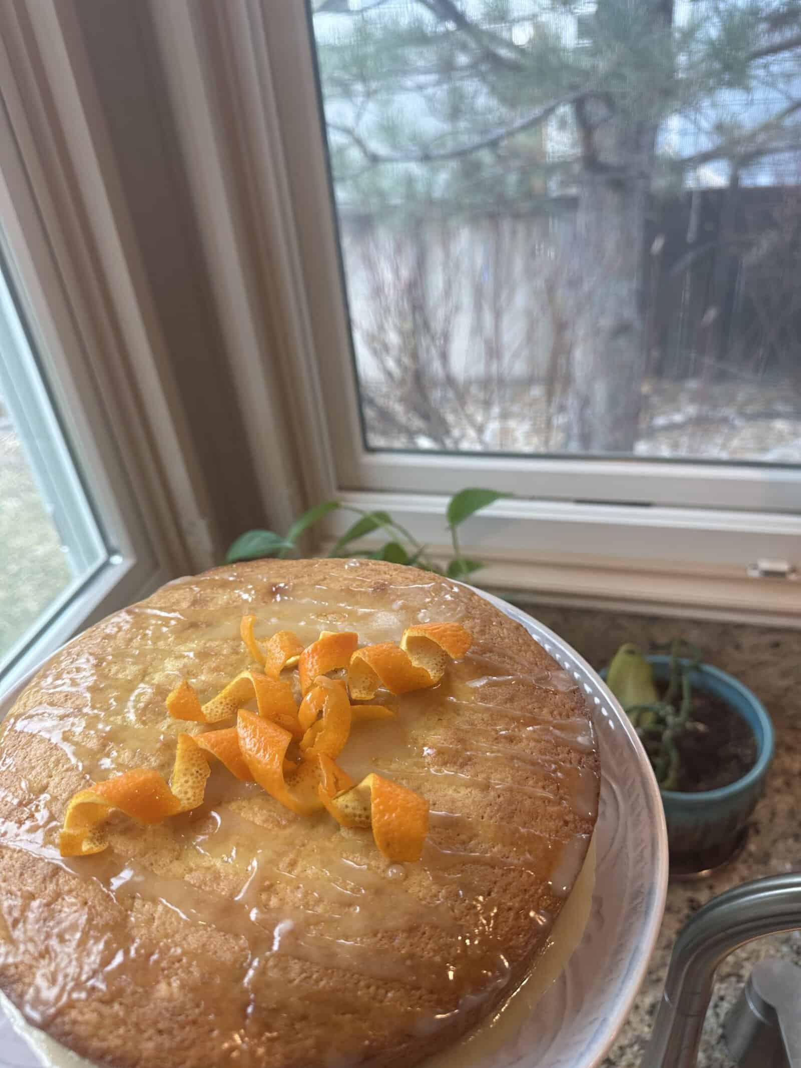 A round cake topped with orange zest sits on a white plate. The cake appears to have a glaze on top. Its positioned on a windowsill with a view of trees and bushes outside. A small green plant is beside the cake inside.