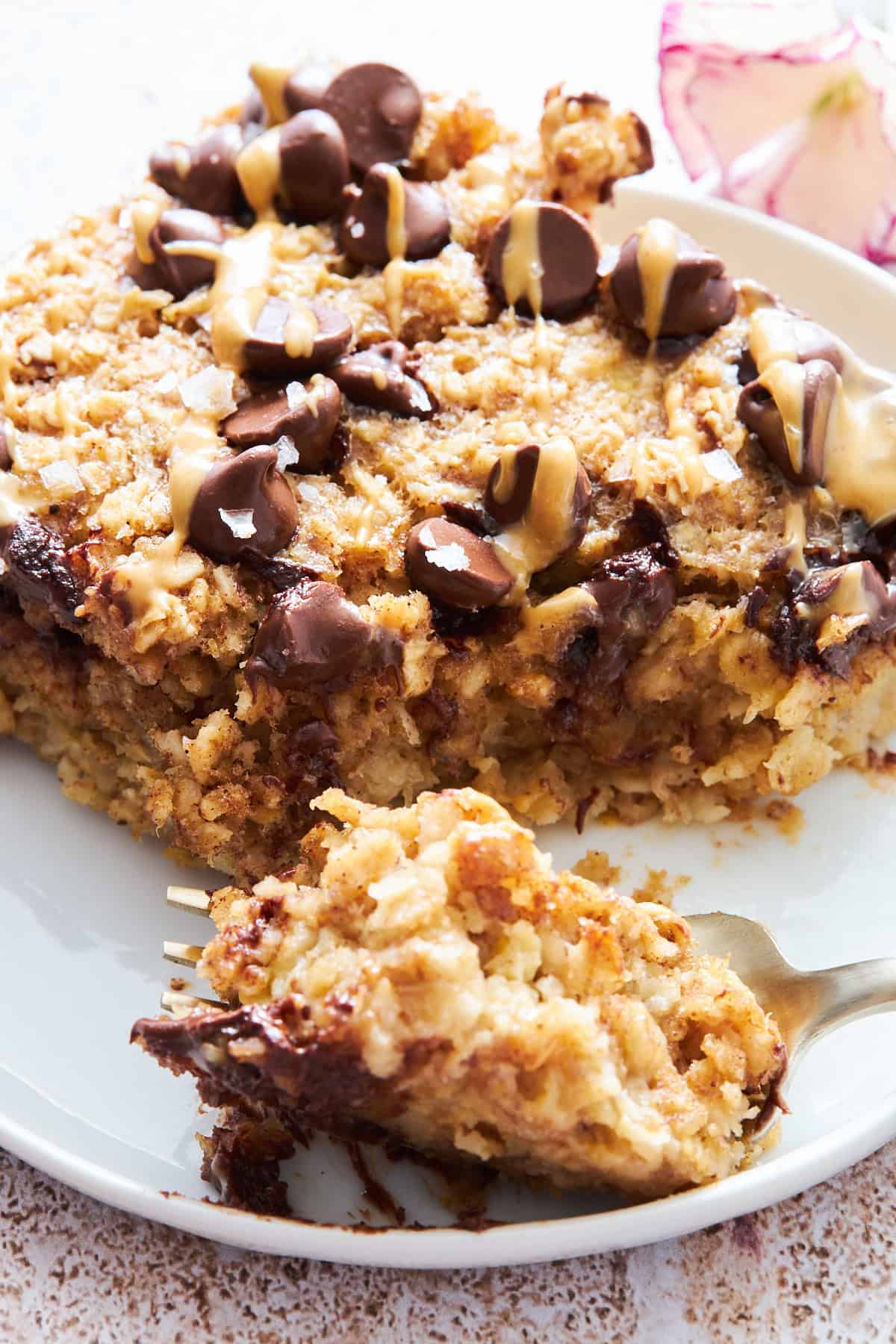 A peanut butter baked oatmeal bar on a plate with a fork holding a bite. 