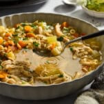 A spoon lifting a bite of chicken noodle soup from a bowl.